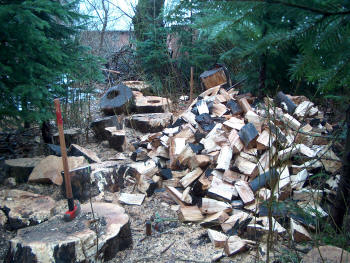 Et gammelt træ hjemme ved gården skæres op og kløves.